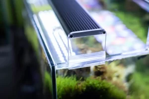 Submersible LED Lights